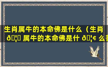 生肖属牛的本命佛是什么（生肖 🦄 属牛的本命佛是什 🦢 么菩萨）